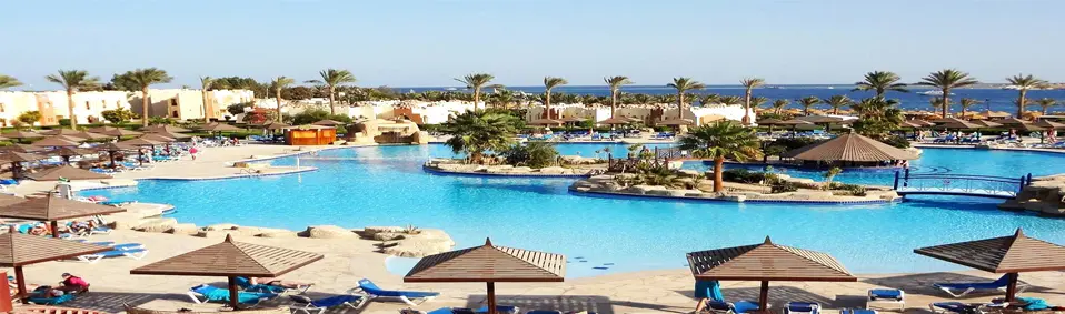 Hurghada Day Tours | Snorkeling, Islands & Safari