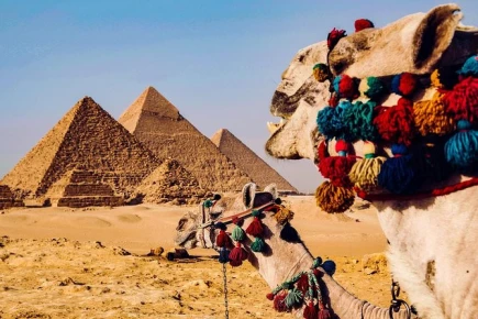 Egypt Adventure Tours