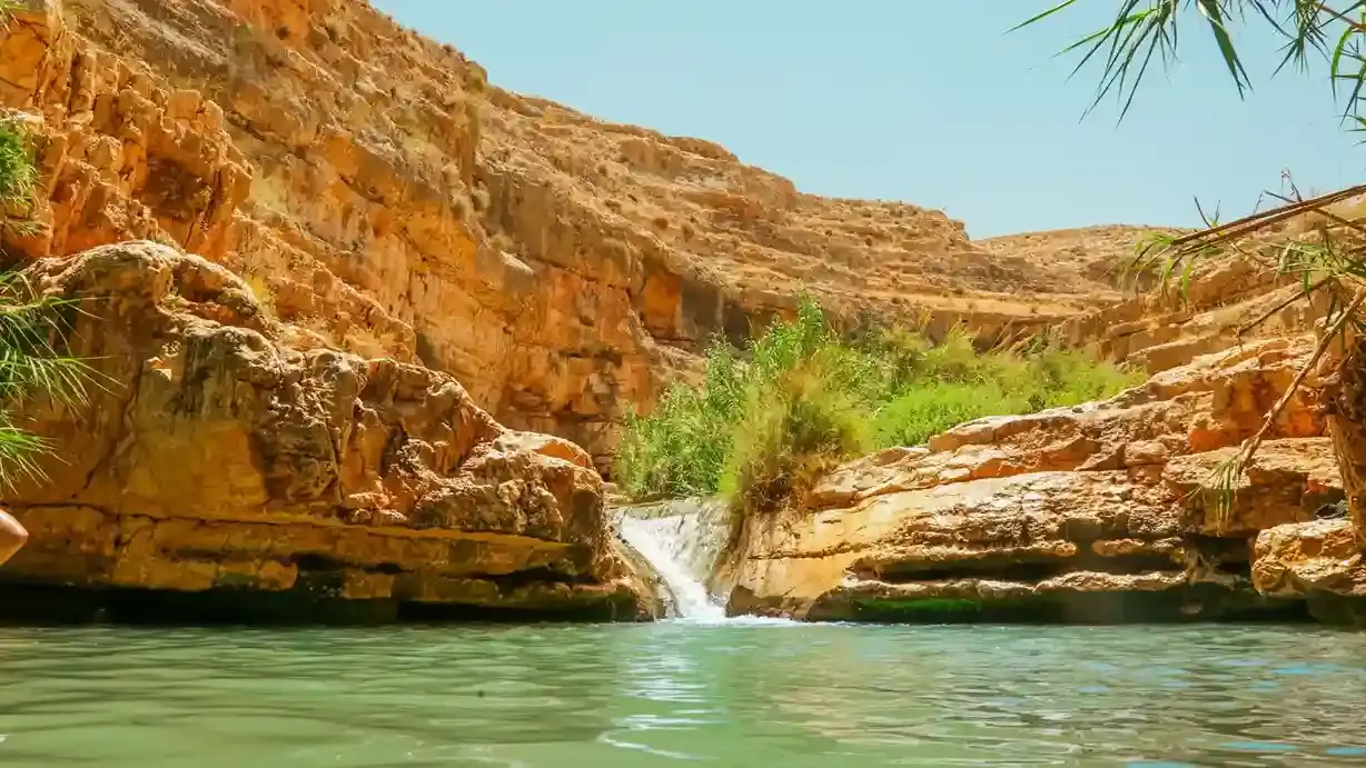 Egypt Oasis Guide | Top Desert Oases to Visit in Egypt