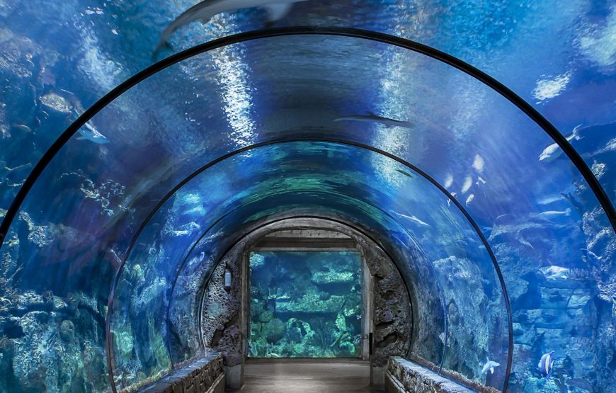 Hurghada grand aquarium
