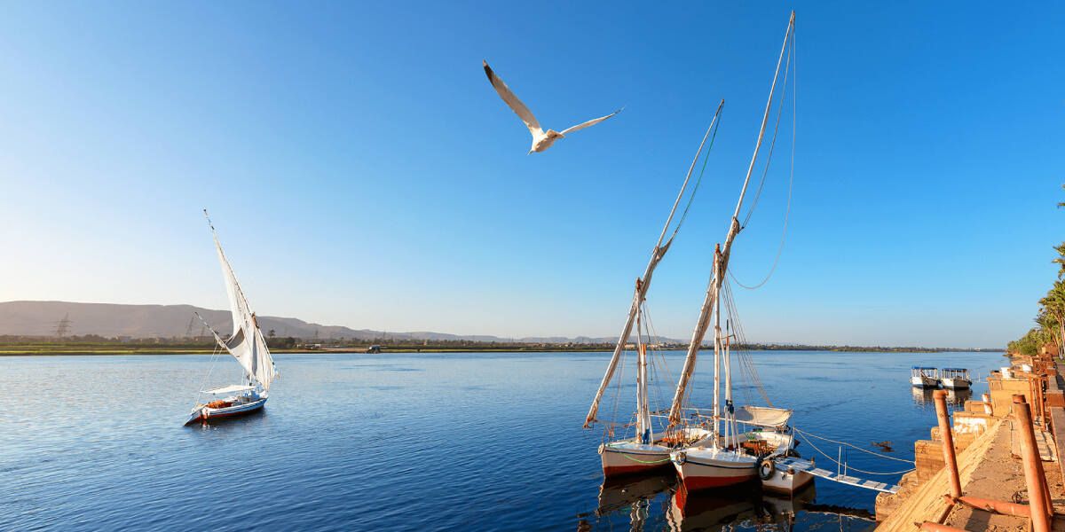 What to visit in Aswan